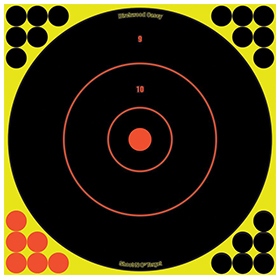 Birchwood Casey Shoot-NC 12in Bulls Eye Target: BK-BDC34012