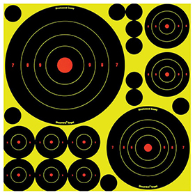 Birchwood Casey Shoot-NC Variety Pack Targets: BK-BDC34018