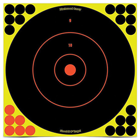 Birchwood Casey Shoot-NC 12in Bulls Eye Target: BK-BDC34050