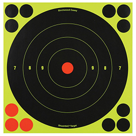 Birchwood Casey Shoot-NC 8in Bulls Eye Target: BK-BDC34825