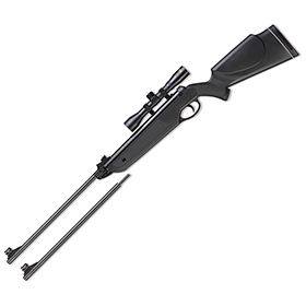 Beeman Black Cub .177/.22 Air Rifle: BK-BM1022