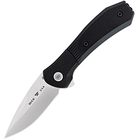 Buck Paradigm Linerlock A/O Black: BK-BU590BKS