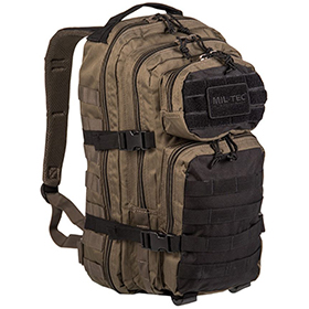 Mil-Tec Small Ranger Tactical Backpack: BK-M4495