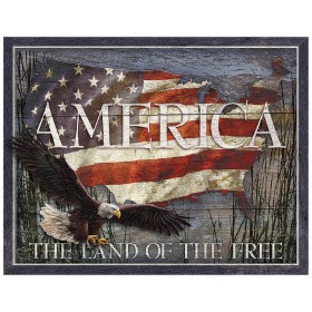 Tin Signs America Land of Free: BK-TSN2159