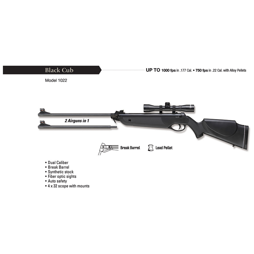 Beeman Black Cub .177/.22 Air Rifle: BK-BM1022V3